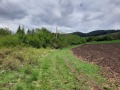 Продава ЗЕМЕДЕЛСКА ЗЕМЯ, с. Арзан, област Перник, снимка 3