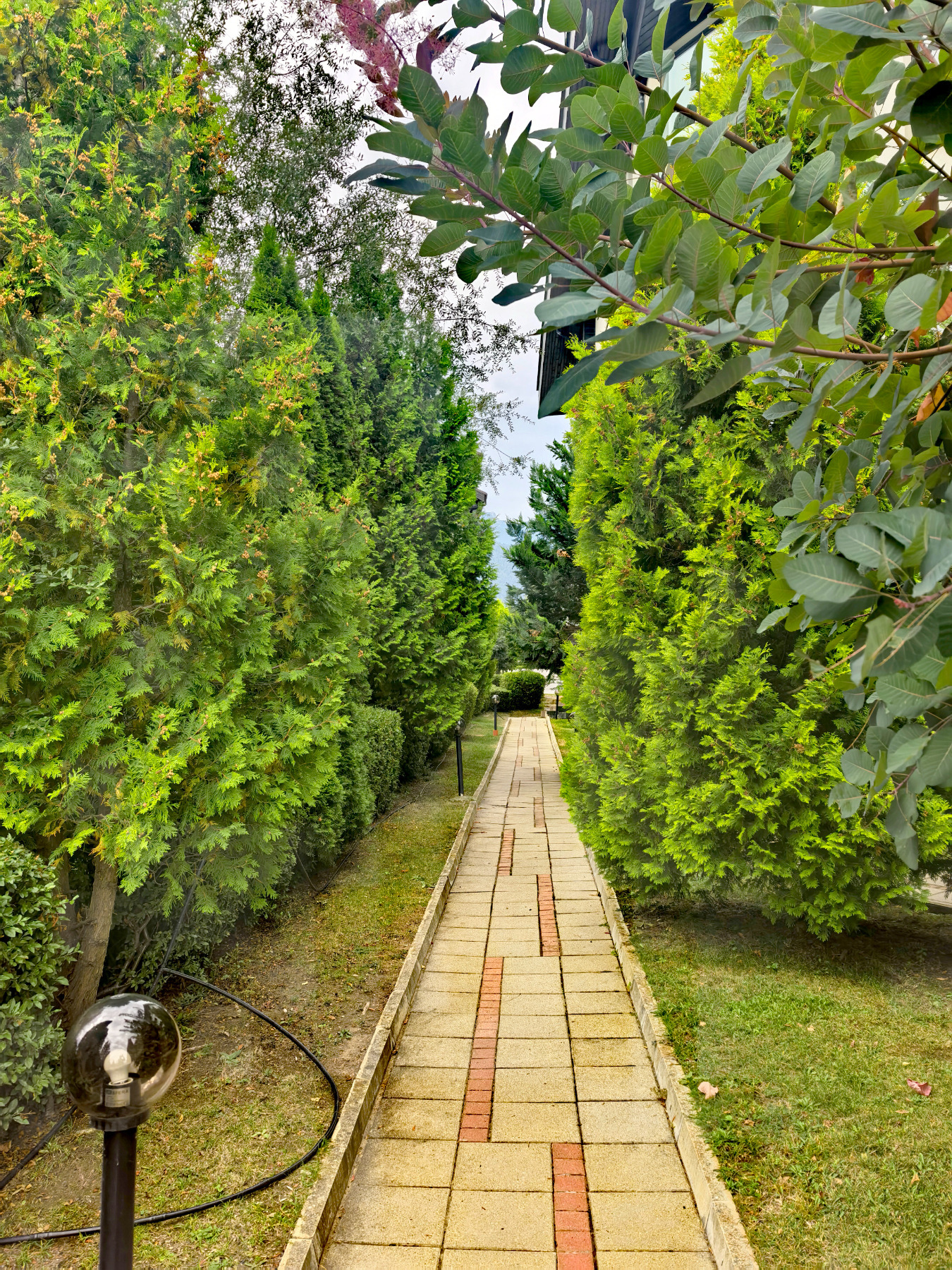 ������� 1-����� | Imot.bg � ����������� 15