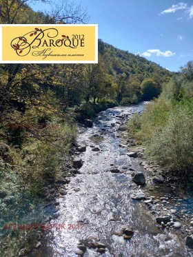 ������ ������� ������