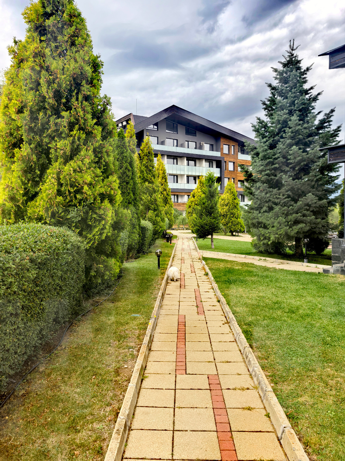 Продава 1-СТАЕН, гр. Банско, област Благоевград, снимка 13 - Апартаменти - 54035228