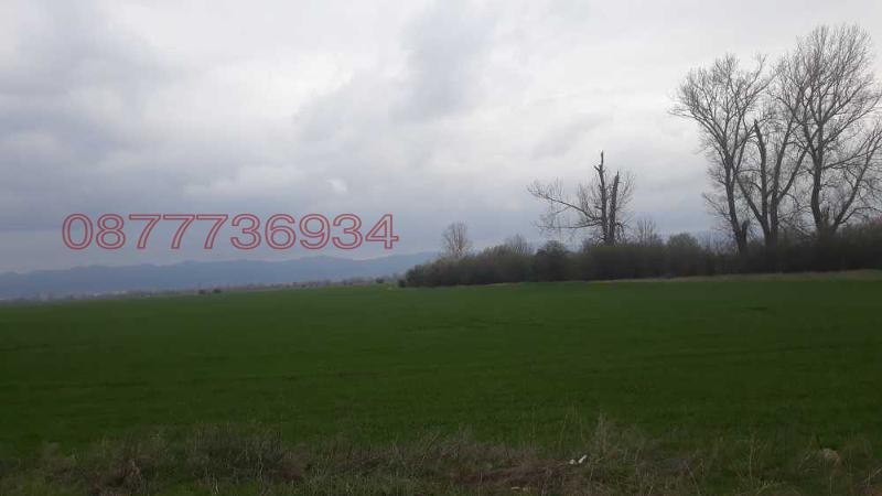 Продава ЗЕМЕДЕЛСКА ЗЕМЯ, с. Церово, област Пазарджик, снимка 3 - Земеделска земя - 53211687