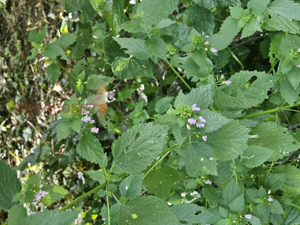 ������� ���� | Imot.bg � ����������� 4