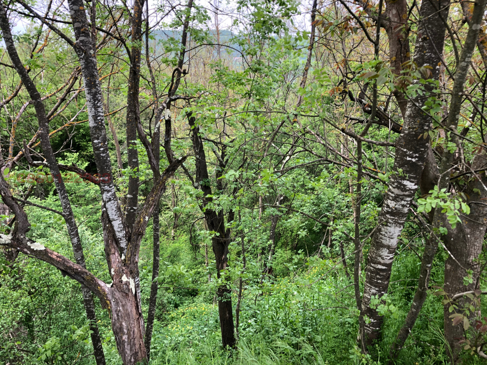 ������� ������ | Imot.bg � ����������� 10