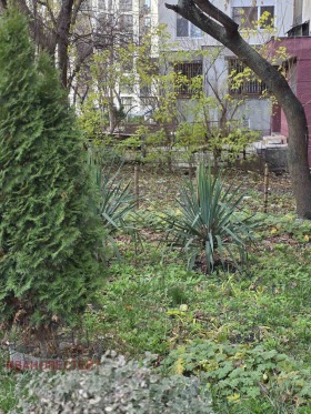 ������� 3-����� | Imot.bg � ����� ������ 3