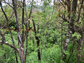 ������� ������ | Imot.bg � ����� ������ 10