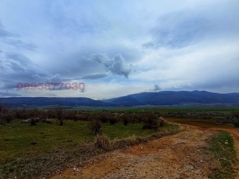 Продава ПАРЦЕЛ, гр. Сапарева баня, област Кюстендил, снимка 2 - Парцели - 52780738