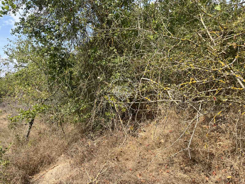 Satılık  Komplo Varna , Konstantinovo , 600 metrekare | 64547028 - görüntü [2]