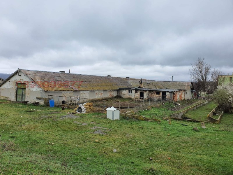 Продава БИЗНЕС ИМОТ, с. Камбурово, област Търговище, снимка 4 - Други - 52782614