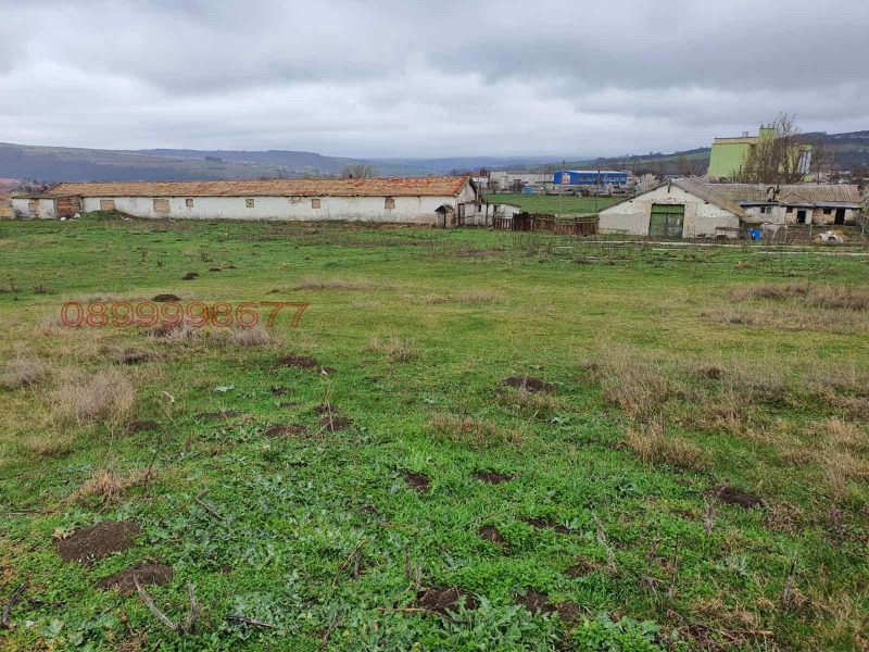 Продава БИЗНЕС ИМОТ, с. Камбурово, област Търговище, снимка 5 - Други - 52782614