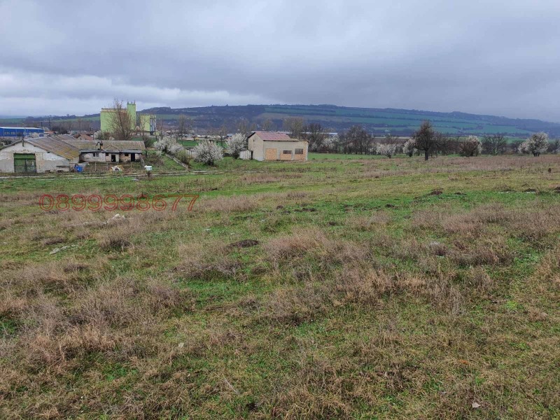 Продава БИЗНЕС ИМОТ, с. Камбурово, област Търговище, снимка 2 - Други - 52782614