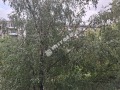 Продава 3-СТАЕН, гр. София, Бъкстон, снимка 11