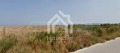 Продава ПАРЦЕЛ, Гърция, Солун • 240000 € / 469399.20 лв. • 38709424 5