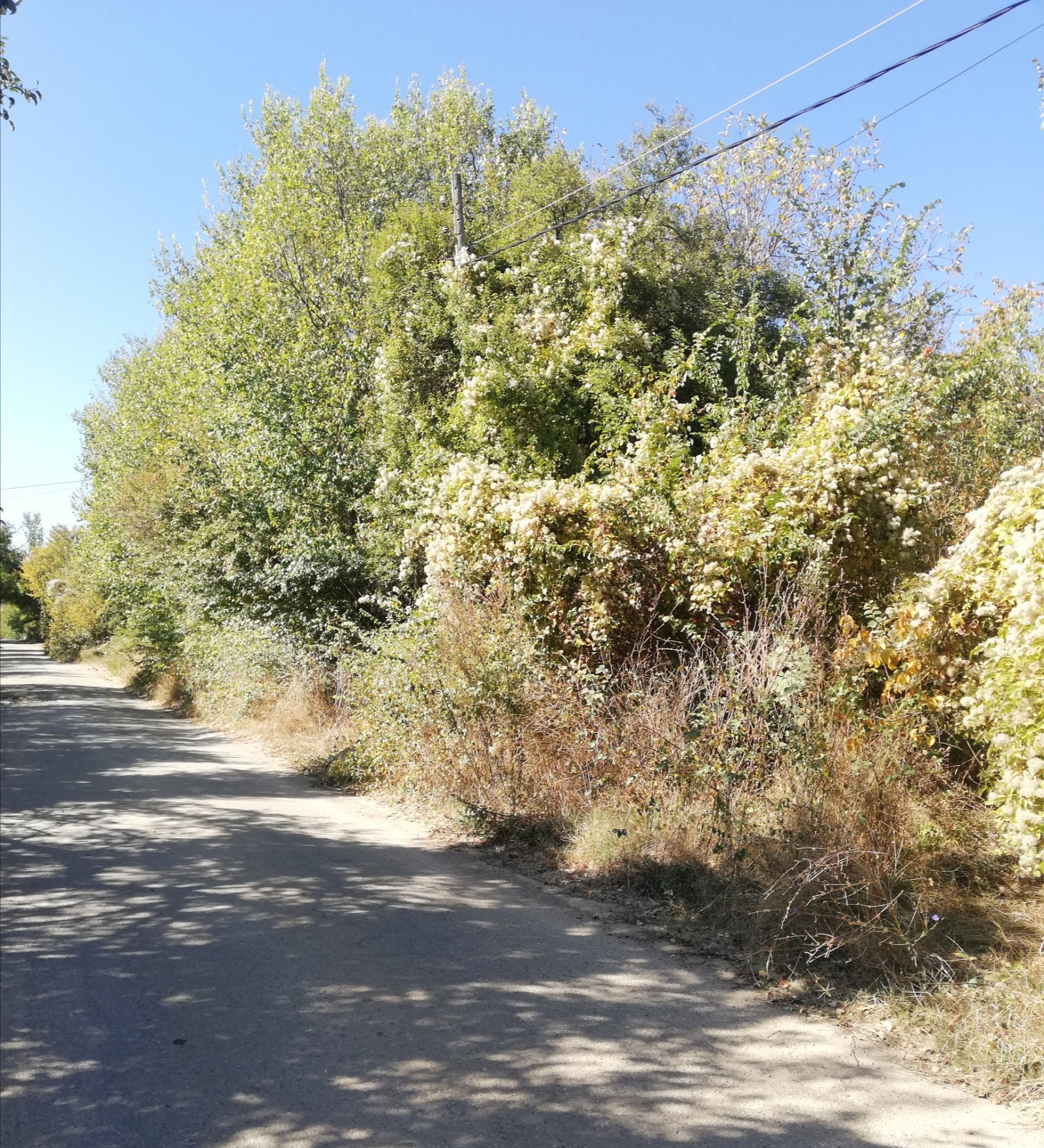 ������� ������ | Imot.bg � ����������� 1