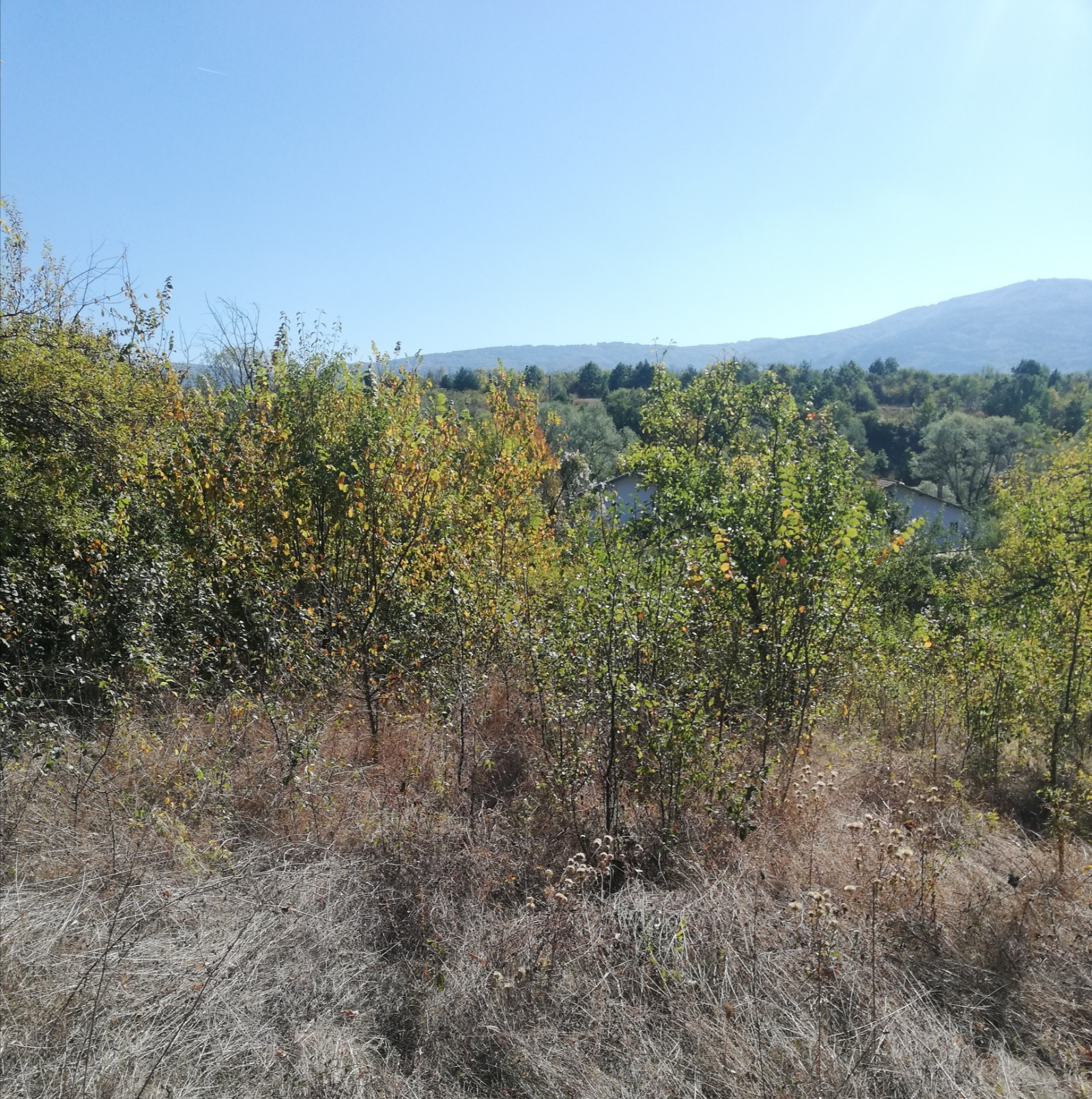 ������� ������ | Imot.bg � ����������� 2