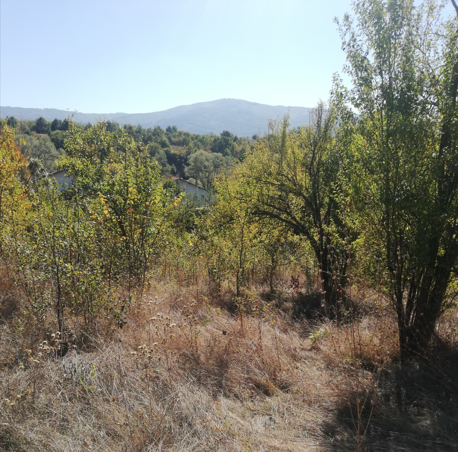 ������� ������ | Imot.bg � ����������� 3