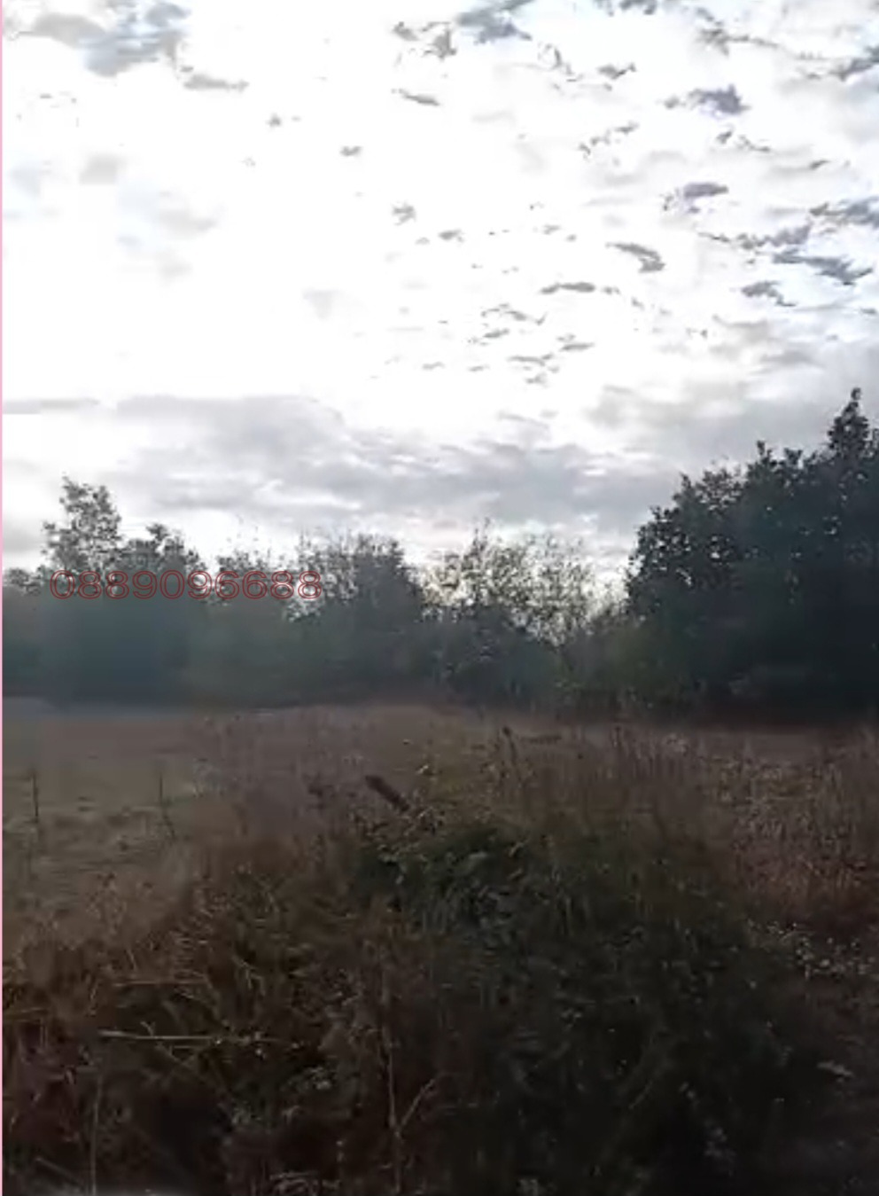 ������� ������ | Imot.bg � ����������� 5