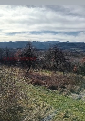 ������� ������ | Imot.bg � ����� ������ 8