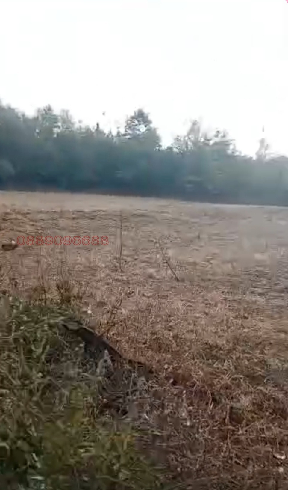 Продава ПАРЦЕЛ, с. Старо село, област Ловеч, снимка 2 - Парцели - 55148632