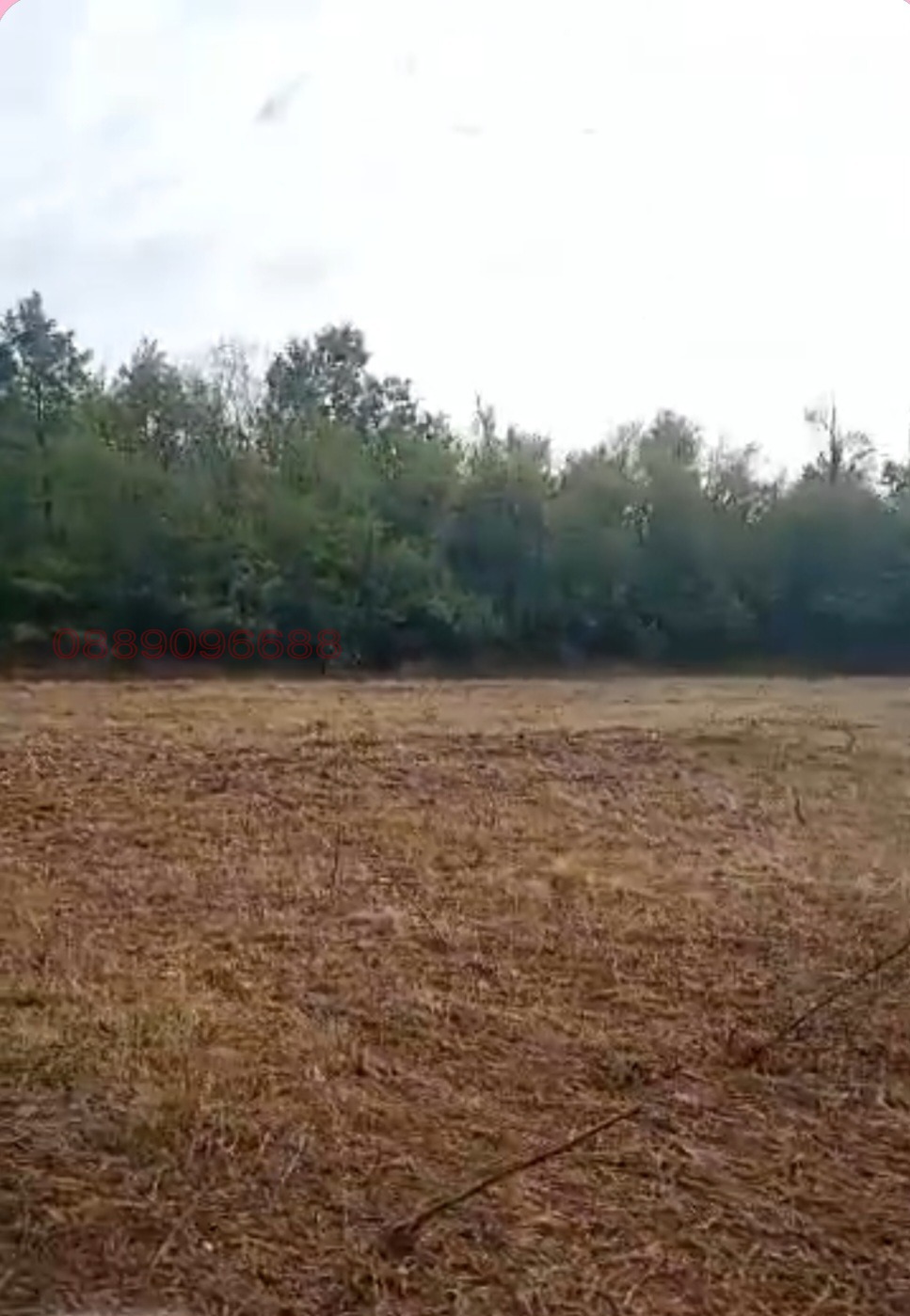 Продава ПАРЦЕЛ, с. Старо село, област Ловеч, снимка 4 - Парцели - 55148632
