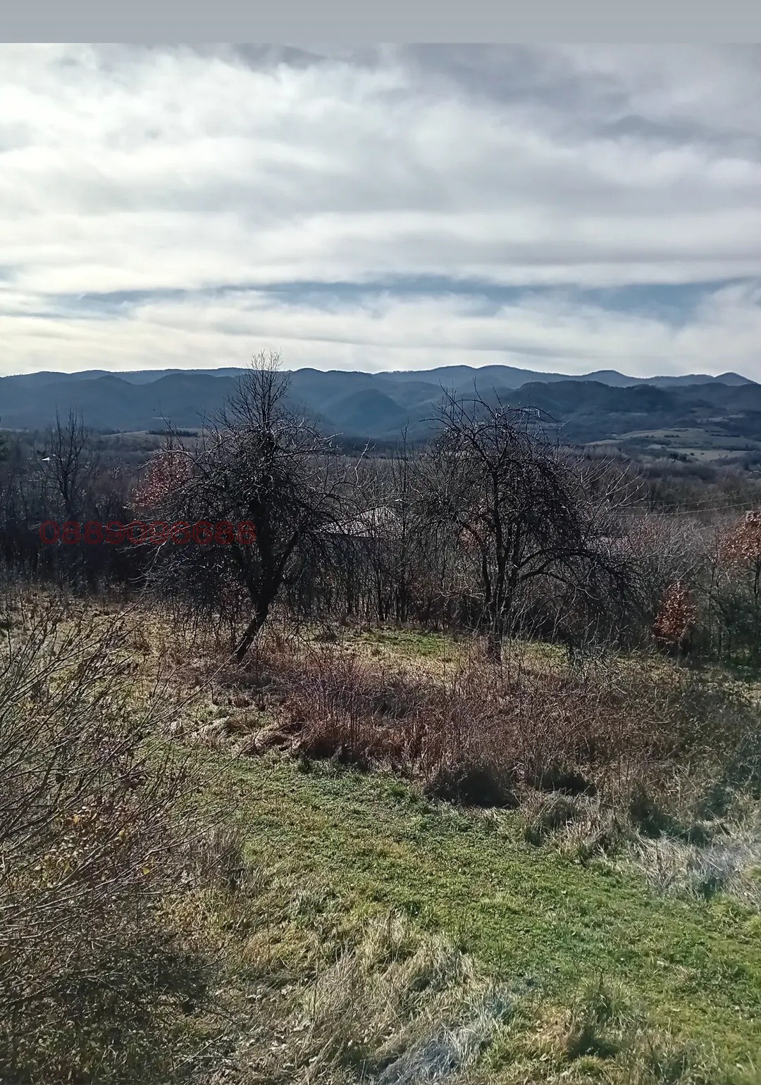 Продава ПАРЦЕЛ, с. Старо село, област Ловеч, снимка 8 - Парцели - 55148632