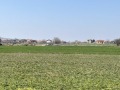 Продава ПАРЦЕЛ, с. Марково, област Пловдив, снимка 3