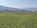 Продава ПАРЦЕЛ, с. Марково, област Пловдив, снимка 2