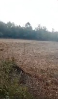 Продава ПАРЦЕЛ, с. Старо село, област Ловеч, снимка 2