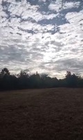 Продава ПАРЦЕЛ, с. Старо село, област Ловеч, снимка 3