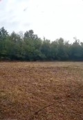 Продава ПАРЦЕЛ, с. Старо село, област Ловеч, снимка 4