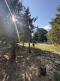 Продава  Етаж от къща град Русе , Здравец , 86 кв.м | 90783320 - изображение [12]