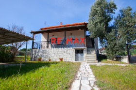 ������� ���� | Imot.bg � ����� ������ 15