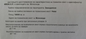 ������ ������� ���������� ����