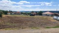Продава ПАРЦЕЛ, област Велико Търново, с. Драгижево • 120000 лв. • 31557502 — Holmes.bg