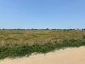 Продава ПАРЦЕЛ, с. Божурец, област Добрич, снимка 2