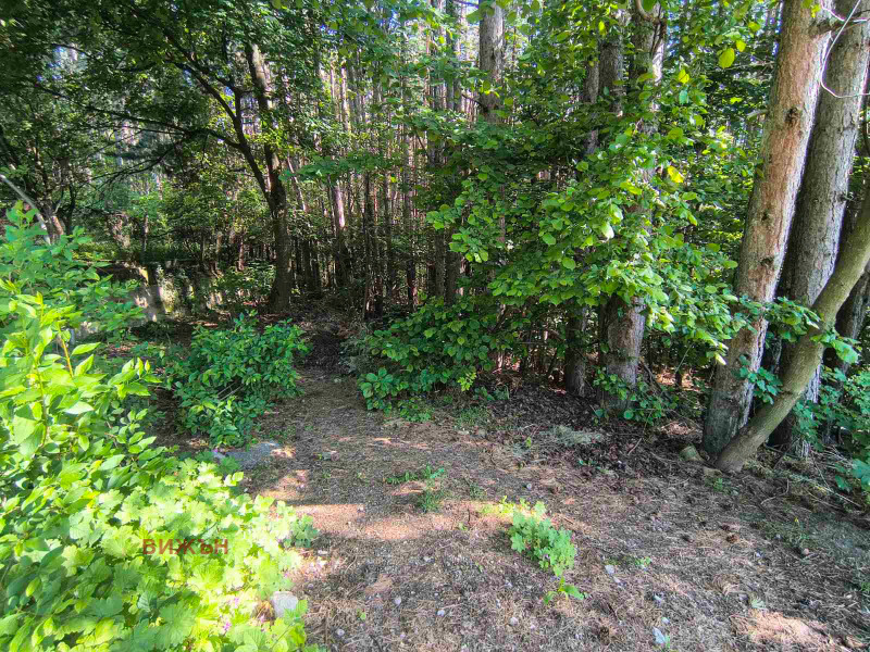 Na prodej  Spiknutí oblast Pernik , Rudarci , 584 m2 | 38948702 - obraz [2]