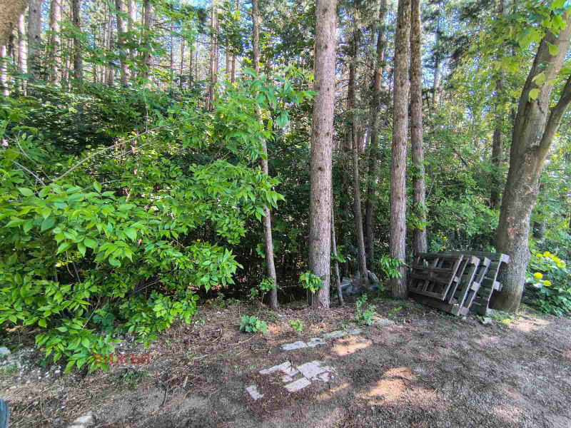 Na prodej  Spiknutí oblast Pernik , Rudarci , 584 m2 | 38948702 - obraz [3]