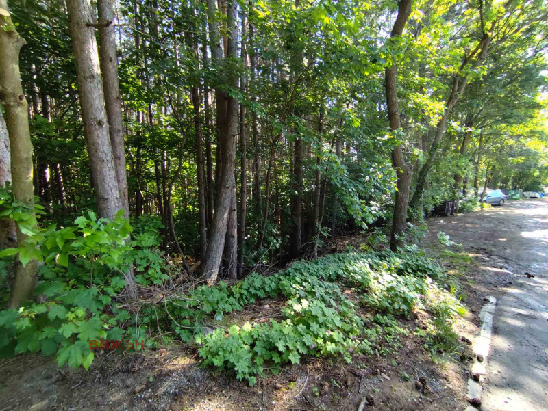 Na prodej  Spiknutí oblast Pernik , Rudarci , 584 m2 | 38948702 - obraz [5]
