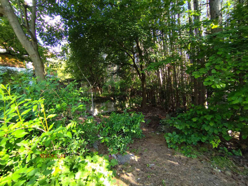 Na prodej  Spiknutí oblast Pernik , Rudarci , 584 m2 | 38948702 - obraz [4]