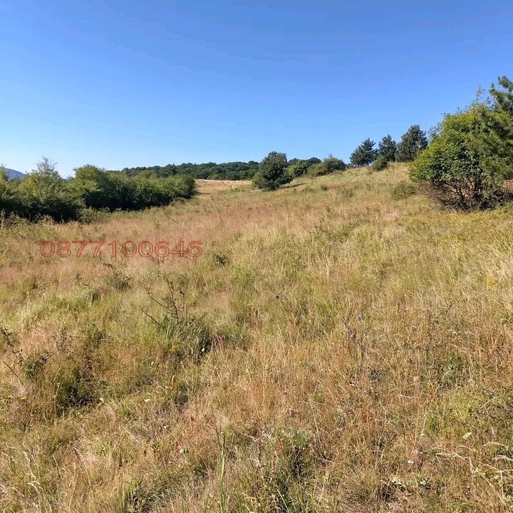 Продава ПАРЦЕЛ, гр. София, гр. Банкя, снимка 4 - Парцели - 53278372