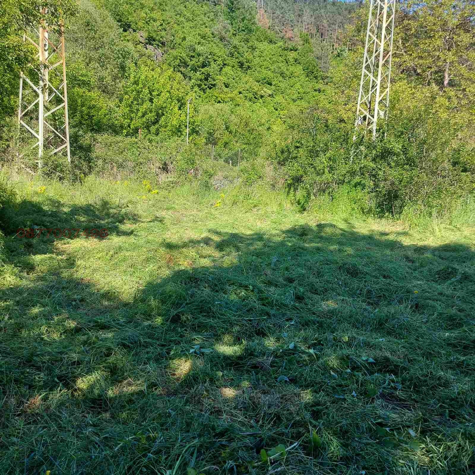 Продава КЪЩА, с. Томпсън, област София област, снимка 7 - Къщи - 54092536