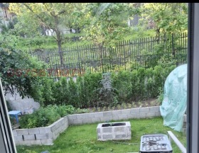 ������ ������� ����