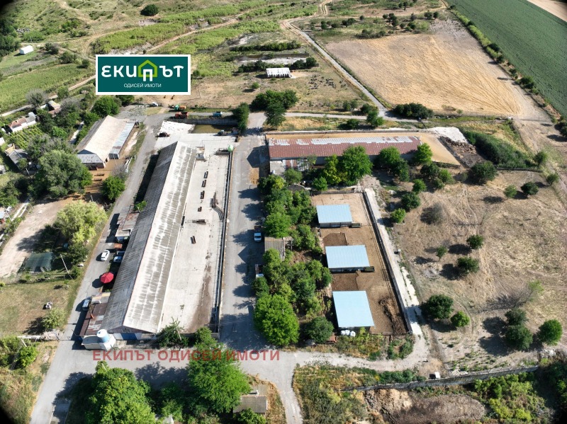 Продава БИЗНЕС ИМОТ, с. Долина, област Добрич, снимка 4 - Други - 51060837