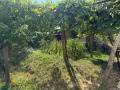 Продава КЪЩА, с. Брежани, област Благоевград, снимка 9