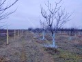 Продава ПАРЦЕЛ, с. Цалапица, област Пловдив, снимка 1