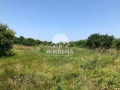 Продава ПАРЦЕЛ, област Добрич, с. Камен бряг • 69000 € • 87965540 — Holmes.bg