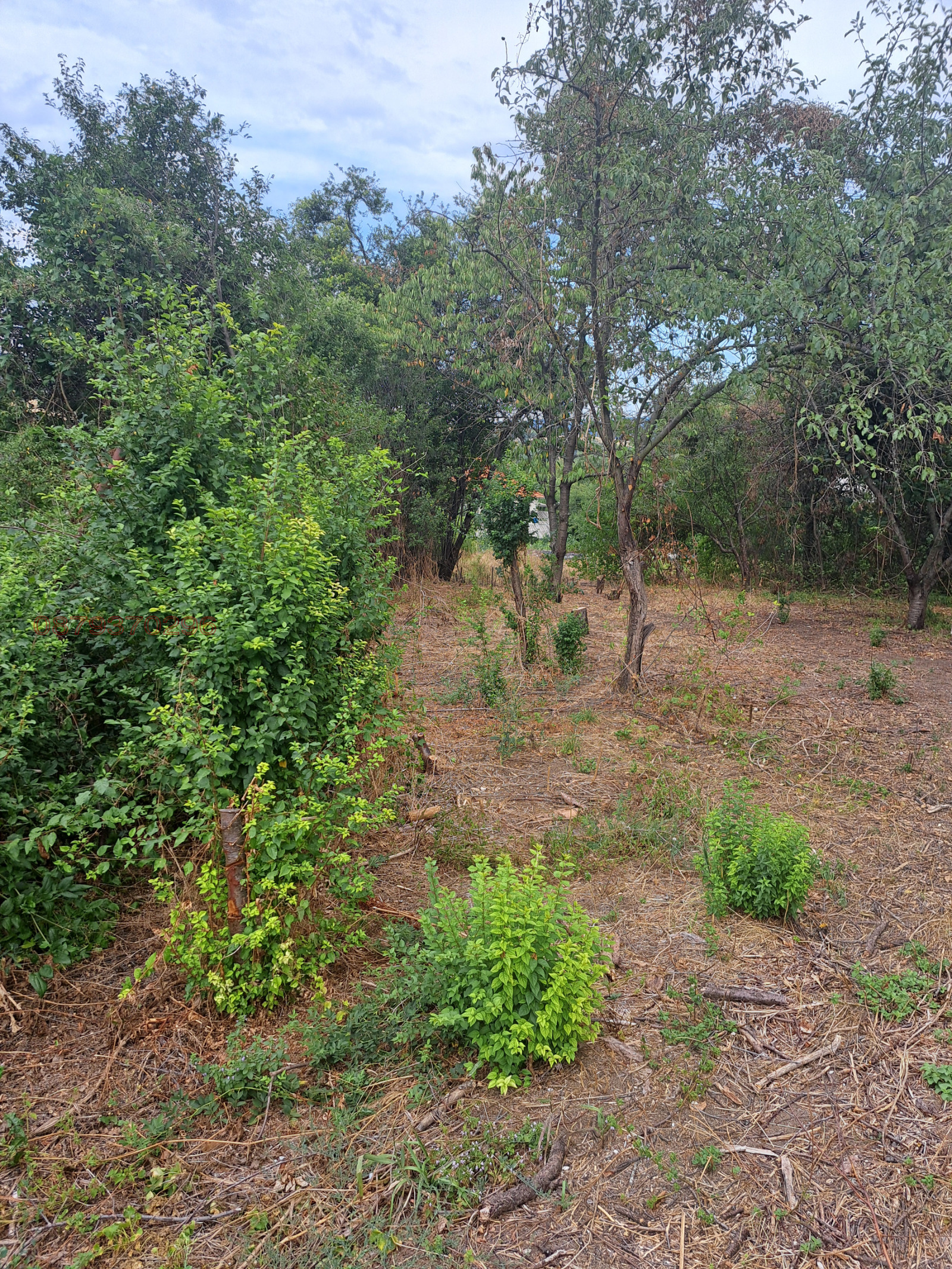 ������� ������ | Imot.bg � ����������� 6