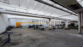 ����� ������� �����,���� �������, ������������ ���� - �����