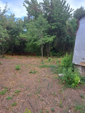 ������� ������ | Imot.bg � ����� ������ 5