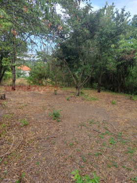 ������� ������ | Imot.bg � ����� ������ 2