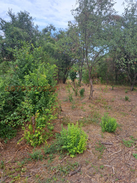 ������� ������ | Imot.bg � ����� ������ 6